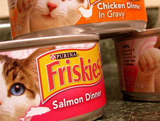 Are Cat Food Cans Aluminum?
