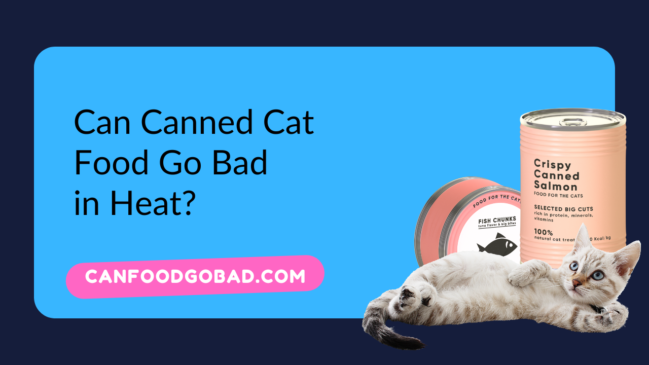 Can Canned Cat Food Go Bad in Heat?