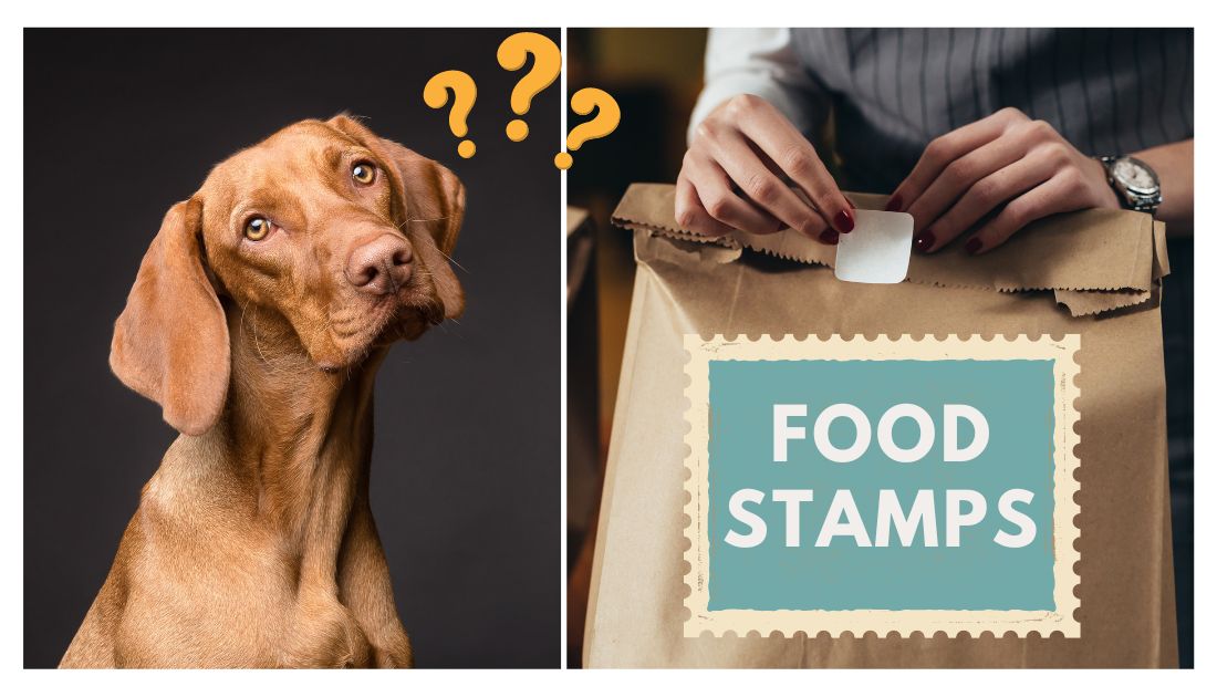 Can Dog Food Be Bought With Ebt?
