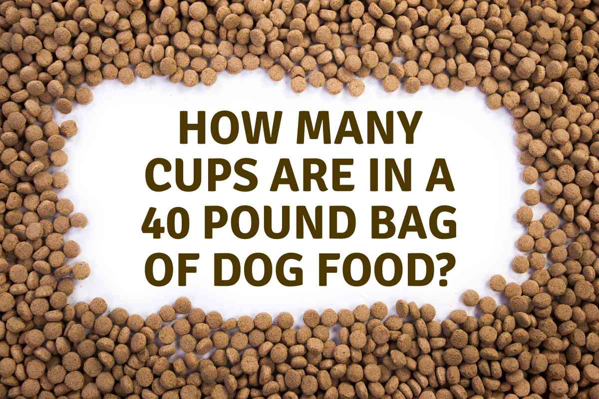 How Many Cups in 40 Lbs of Dog Food?