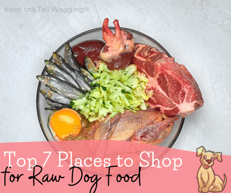 Where to Buy Raw Dog Food in Bulk Near Me?