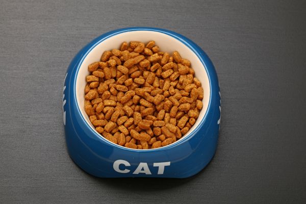 What Dry Cat Food Has the Smallest Pieces?