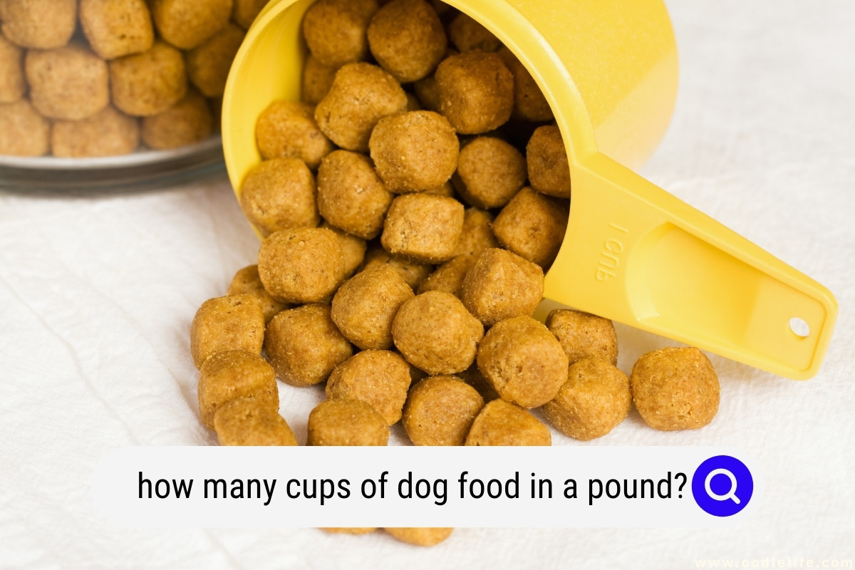 How Many Cups in 35 Lbs of Dog Food?