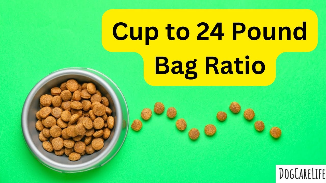 How Many Cups in 24 Pounds of Dog Food?